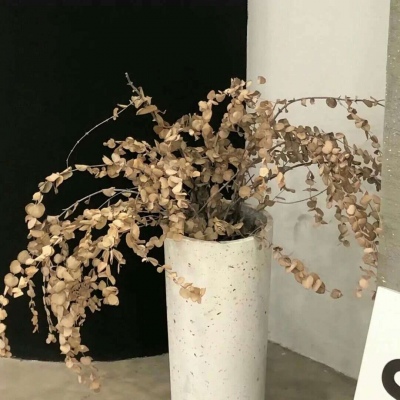 兽设线稿临摹素材FurryQQ群